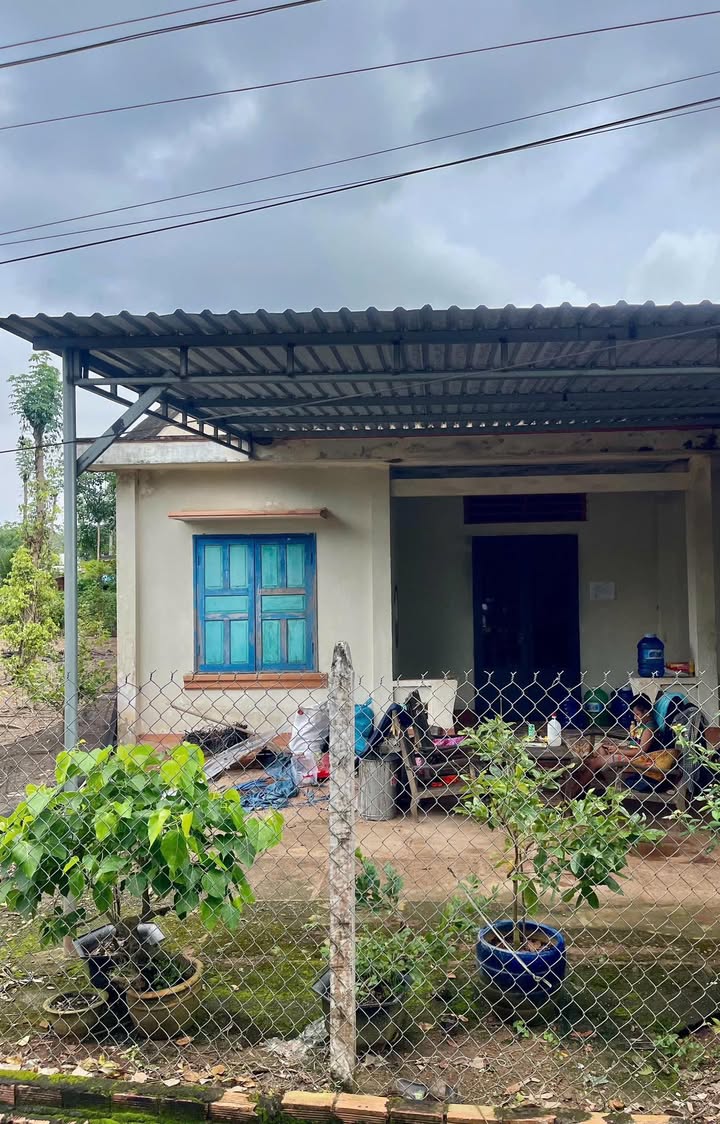 Nhà cấp 4 Hòa Hội, Xuyên Mộc 196m² giá 660 triệu - Đầu tư lý tưởng!