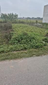 Đất nền xóm 3 Ân Hòa Kim Sơn 100m² - Đầu tư sinh lời, giá thỏa thuận!