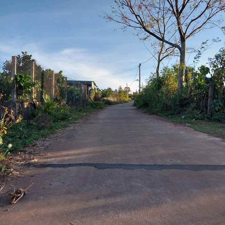 Đất nền mặt tiền đường Trần Huy Liệu - Biển Hồ 175m² giá chỉ 600 triệu - Sổ đỏ chính chủ!