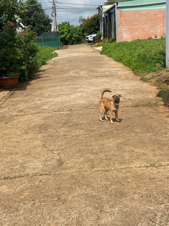 Đất nền hẻm 240 Nguyễn Chí Thanh 150m² giá 8xx triệu - Đầu tư sinh lời ngay!