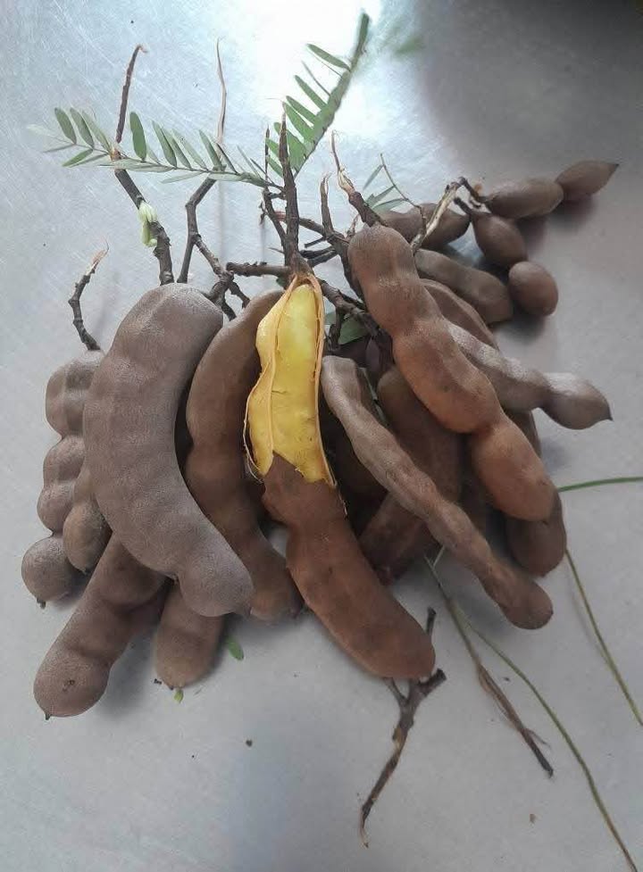 Đất hẻm 32 Ngô Quyền, Tây Ninh 117m² giá 3.176 tỷ - Đầy đủ tiện ích xung quanh!