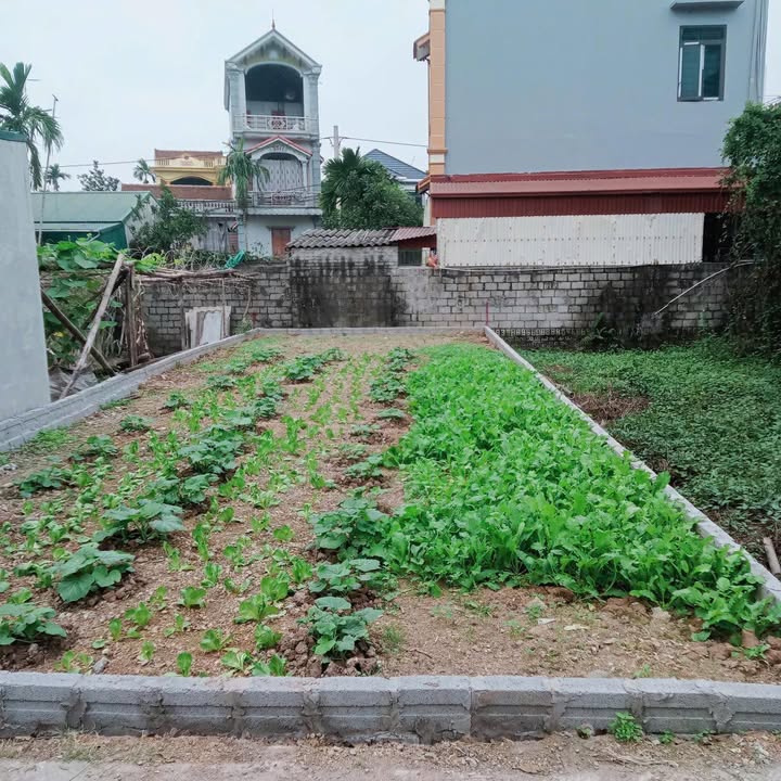 Nhà Phượng Dực, Phú Xuyên, 83m² giá 3.2 tỷ - Vị trí thuận tiện, gần chợ và trường học!