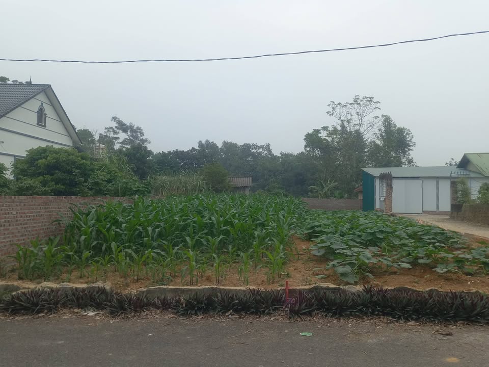 Đất nền khu công nghiệp Tam Dương Bắc 154m² giá 1,472 tỷ - Nhanh tay sở hữu!