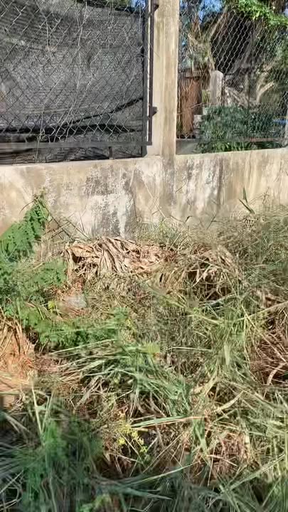 Đất mặt tiền DT871B, Xã Gia Thuận, 65m² giá 1 tỷ - Cơ hội đầu tư hấp dẫn!