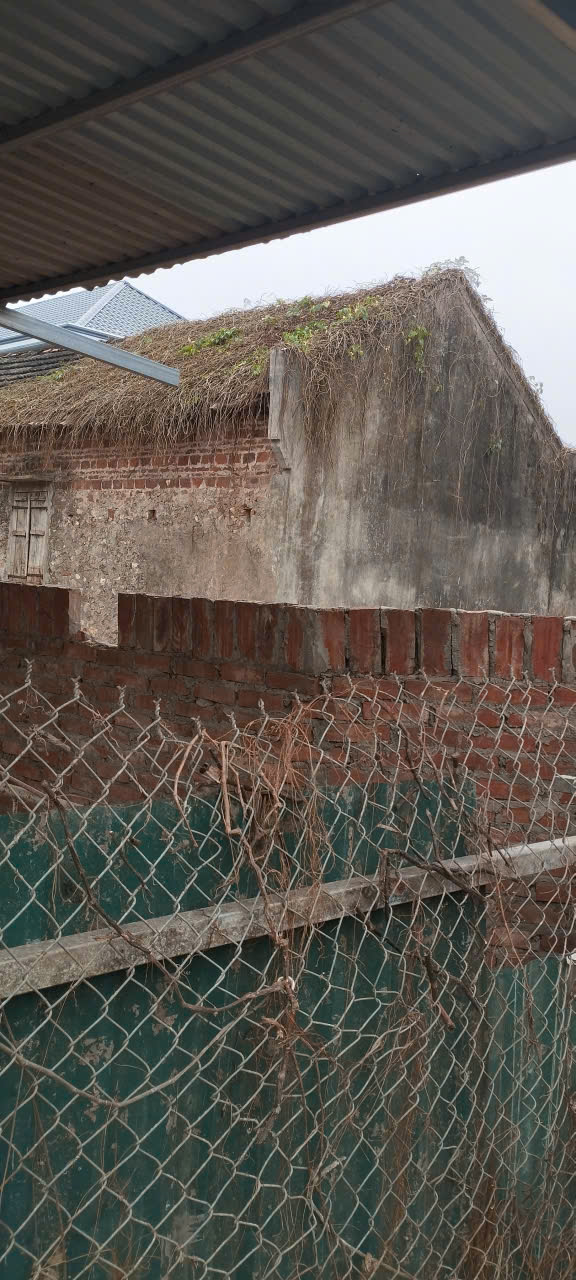 Đất nền thôn Phúc Đức, Sài Sơn, Quốc Oai 620m² - Vị trí tiềm năng, giá thỏa thuận!