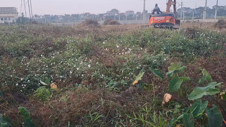 Đất nông nghiệp 2000m² tại Hồng Phong, Chương Mỹ, Hà Nội – Giá chỉ 5 tỷ, chuyển đổi dễ dàng!