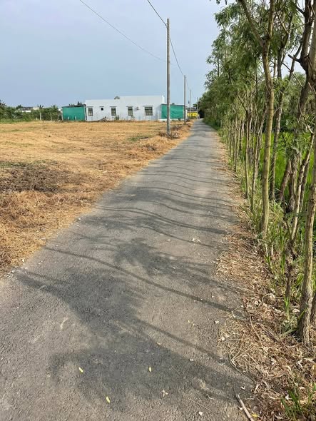 Đất nền mặt tiền nhựa Ruộng Cạn, Gò Công Đông, Tiền Giang 165m² - Giá chỉ 440 triệu!