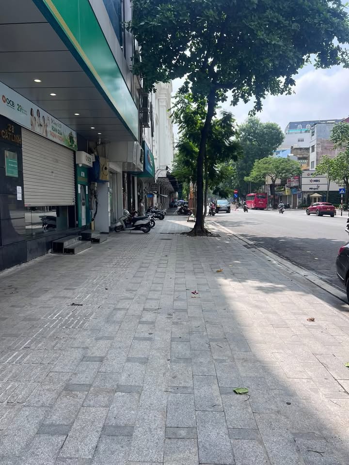 FrontHouse Đống Đa 27m² giá 24 tỷ - Kinh doanh đỉnh tại mặt phố Cát Linh!