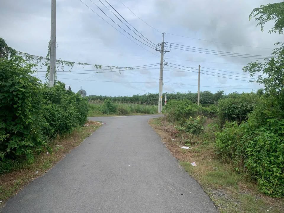 Đất nền 551m² xã Nhuận Đức, Củ Chi giá 3.3 tỷ - Cơ hội đầu tư hấp dẫn!