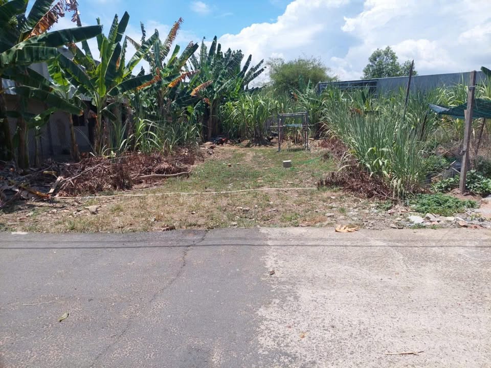 Đất nền Long Tâm, Bà Rịa - Vũng Tàu 123m² giá 1.79 tỷ - Khu dân cư sầm uất