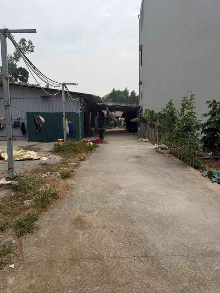 Đất nền Hùng Thắng, Hạ Long 76m² giá 2 tỷ - Đường ô tô tránh nhau, nở hậu đẹp!