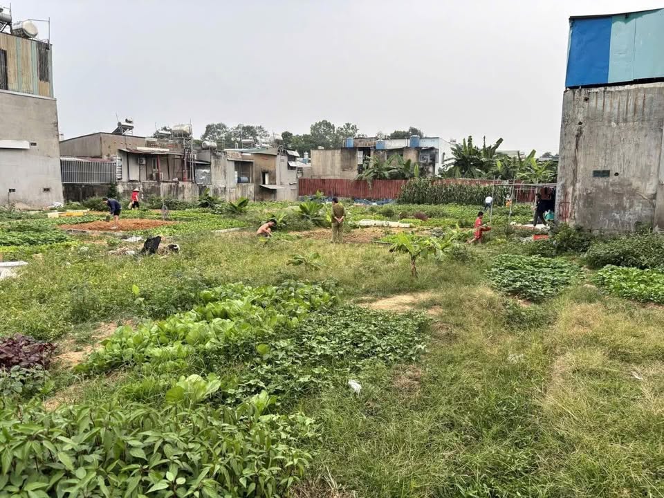 Lô đất 1000m² Tân Đông Hiệp, Dĩ An, Bình Dương - Giá chỉ 32 tỷ, cơ hội đầu tư hiếm có!