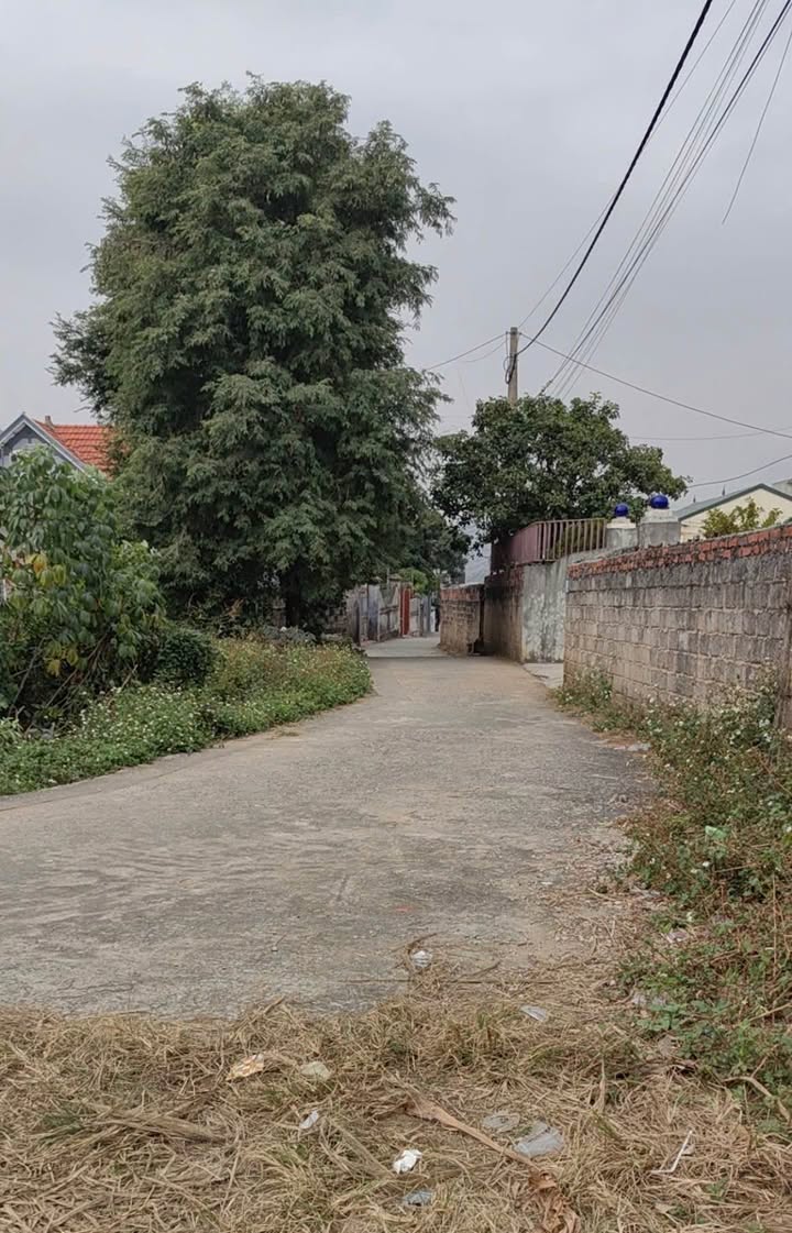 Đất nền Đại Yên Hạ Long 123m² giá 2 tỷ - Đầu tư sinh lời ngay!