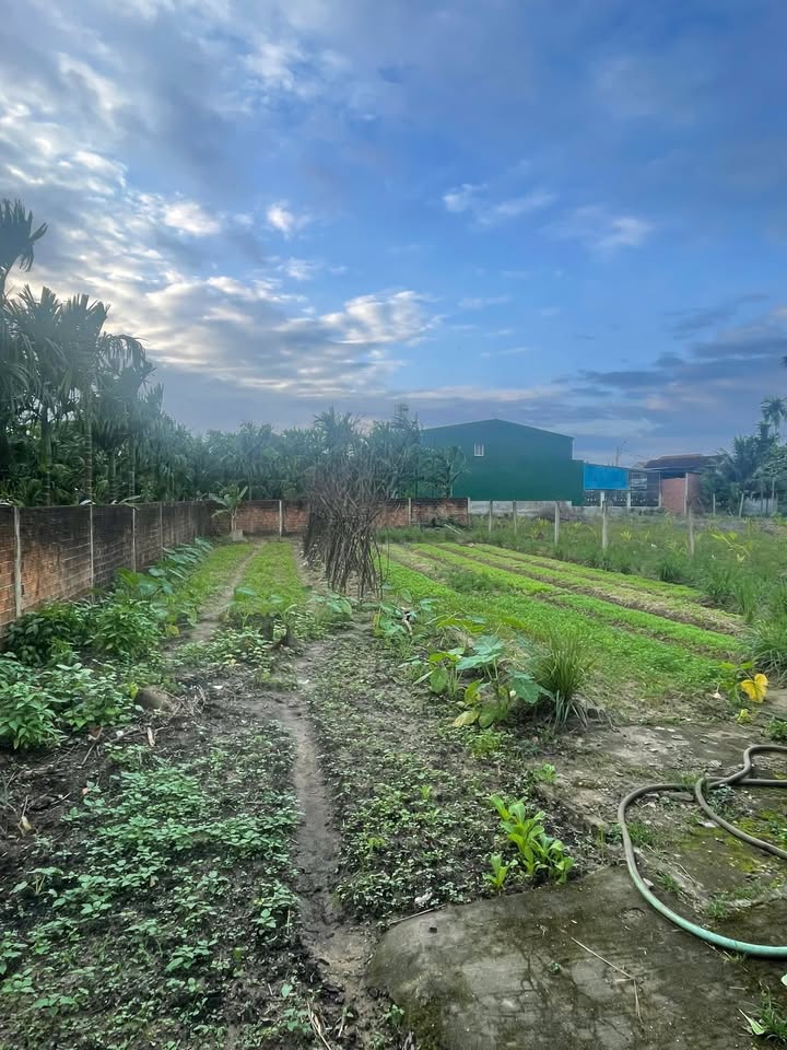 Đất Tịnh Ấn Tây, Quảng Ngãi 429m² giá 1.4 tỷ - Đầu tư sinh lời ngay!