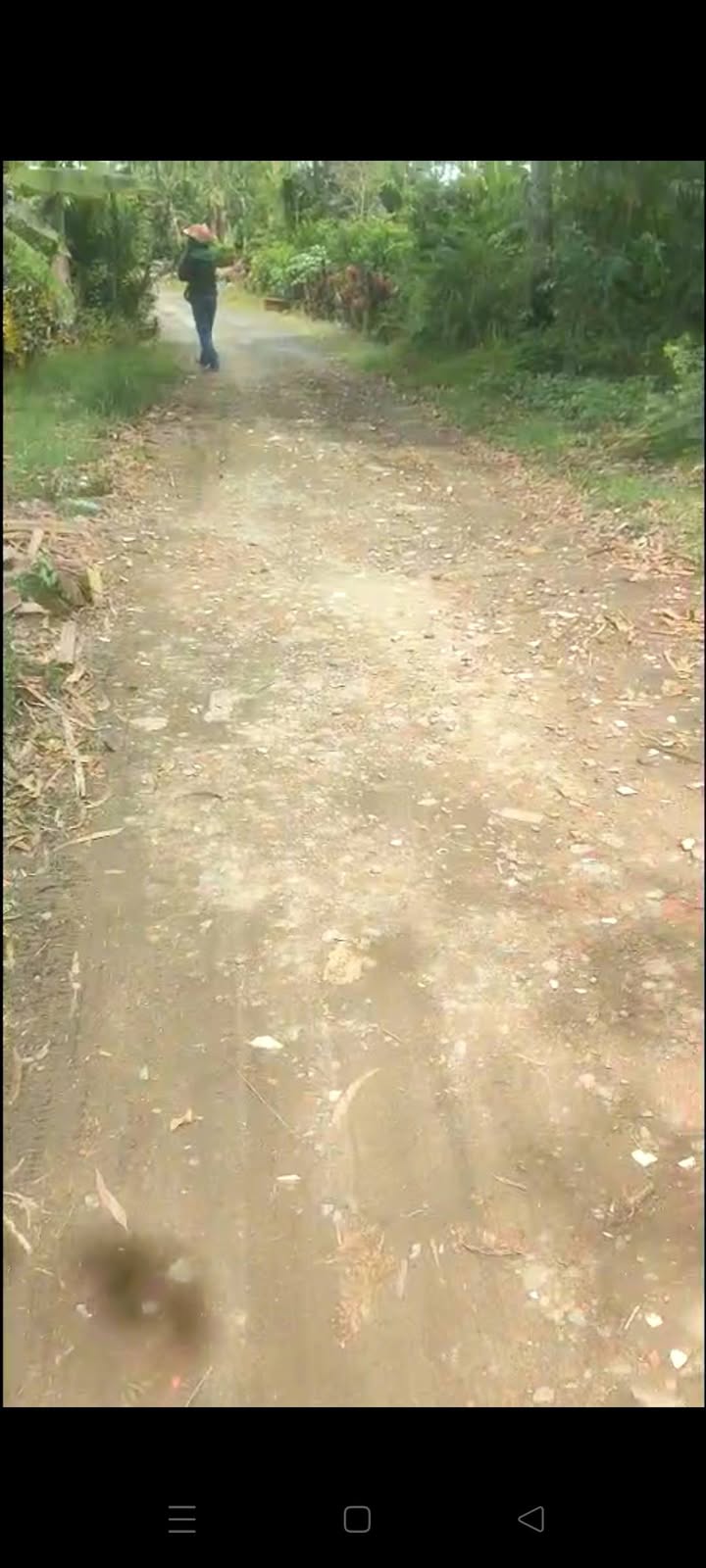 Đất nông nghiệp 2300m² tại xã Phương Thịnh, giá 600 triệu - Tiềm năng sinh lời cao!