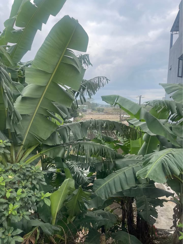 Đất nền Hòa Tiến Đà Nẵng 4400m² - Mặt tiền Quốc lộ 14B, giá thỏa thuận!