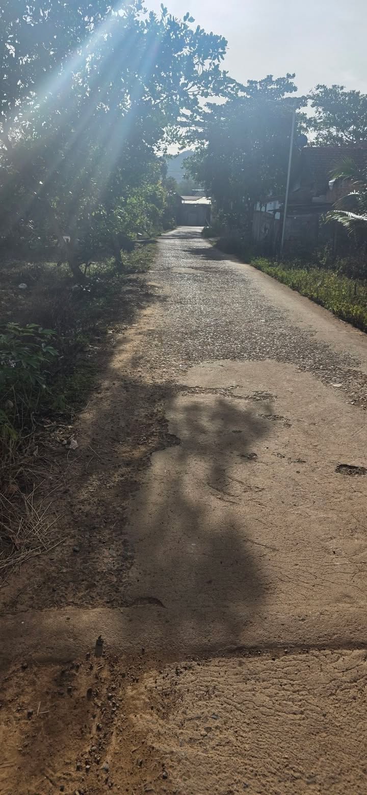 Đất nền Bù Đăng 500m² giá 650 triệu - Vị trí trung tâm thuận lợi!