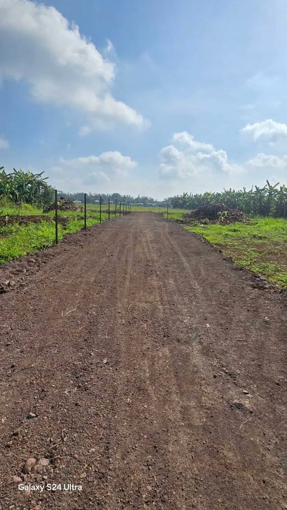 Bán đất 500m² tại phường Xuân Hòa, Biên Hòa – Giá 1.5 tỷ, Sổ đỏ chính chủ!