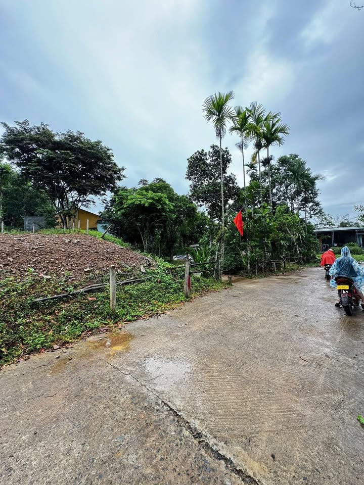 Đất vườn Bà Nà Đà Nẵng 832m² giá 3.3 tỷ - Đầu tư sinh lời lý tưởng!