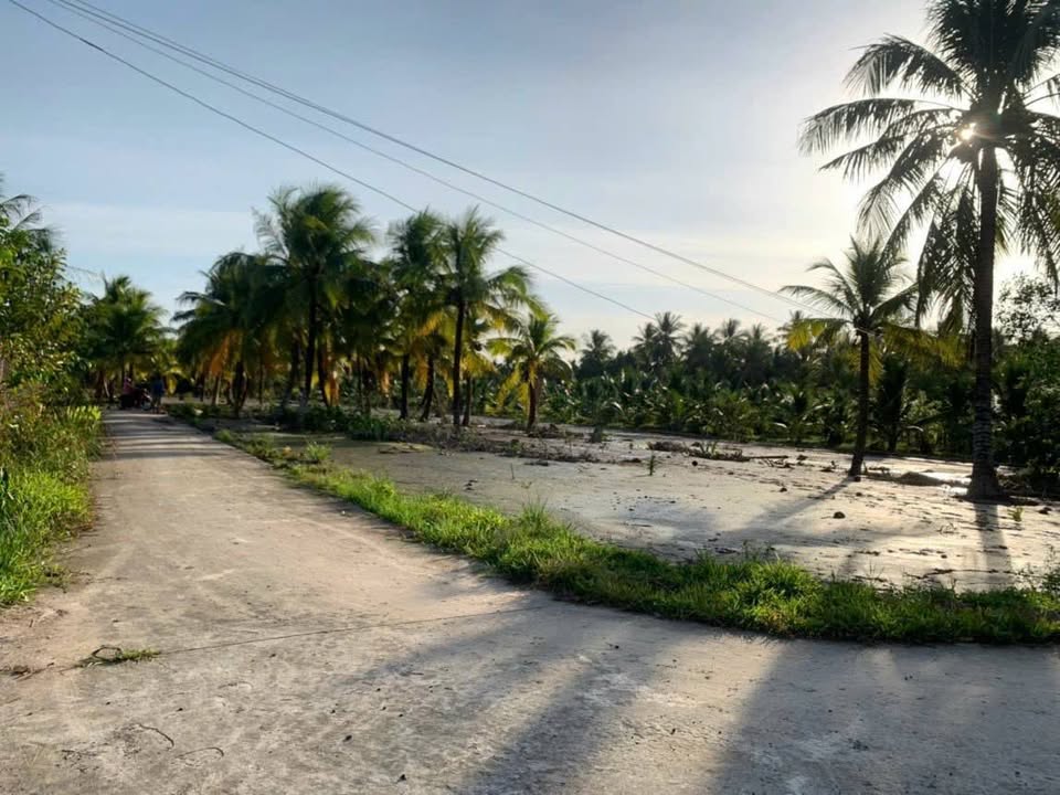 Đất Giao Long, Châu Thành, Bến Tre 3.5ha giá 1.1 tỷ - Đầu tư sinh lời ngay!