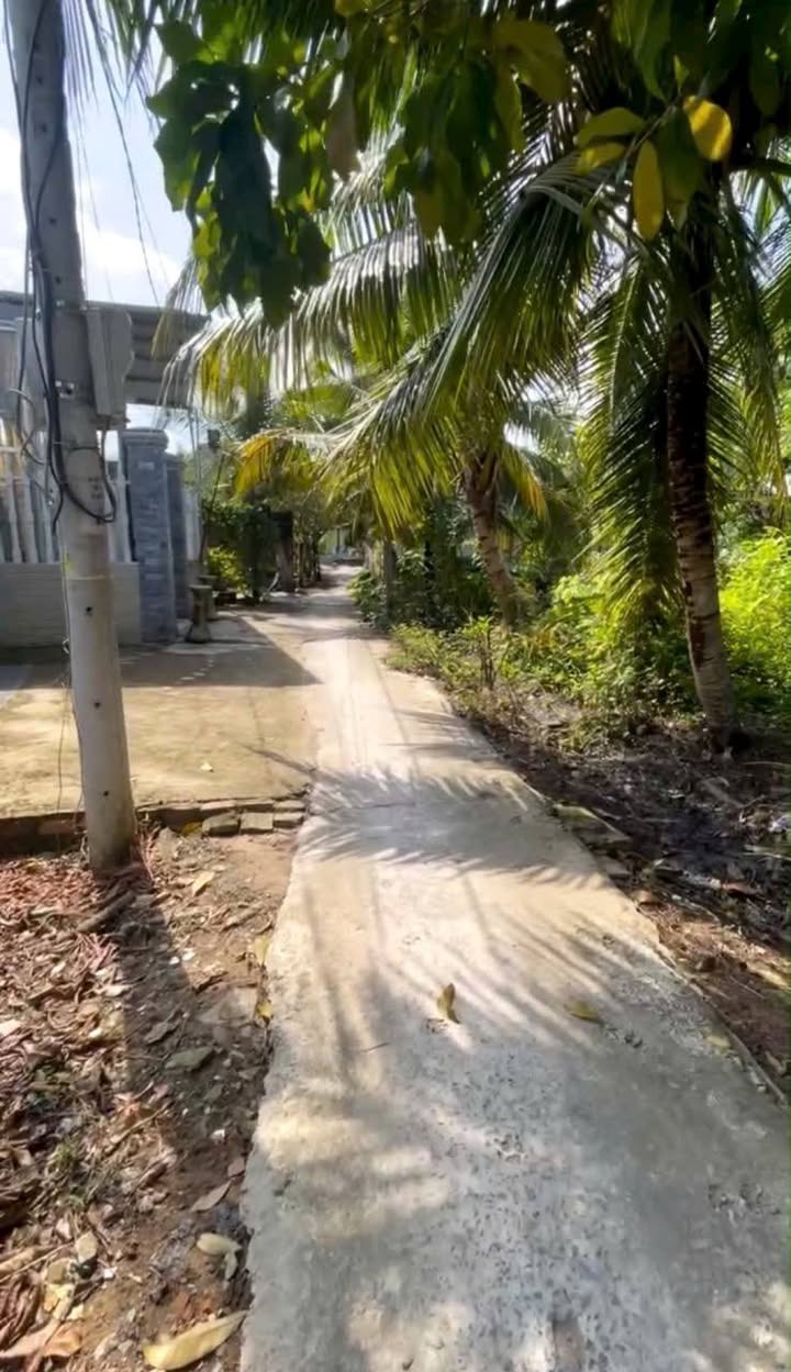 Đất nền Nhị Quý, Cai Lậy 100m² giá chỉ 170 triệu - Cơ hội đầu tư tuyệt vời!