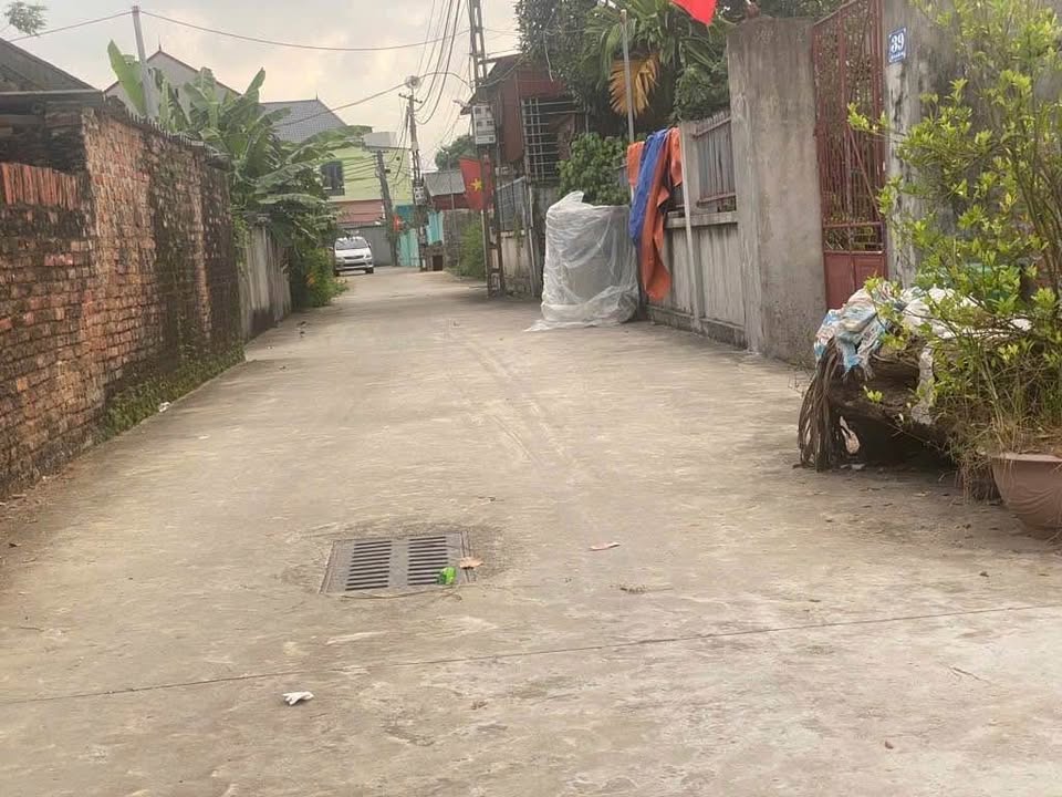 Bán đất Bắc Thượng, Quang Tiến, Sóc Sơn 105m² - Đầu tư sinh lời, pháp lý rõ ràng!