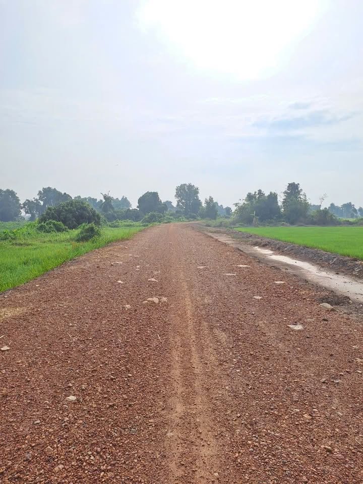 Đất vườn Củ Chi 4500m² giá 5.625 tỷ - Vị trí đẹp, giao thông thuận lợi!