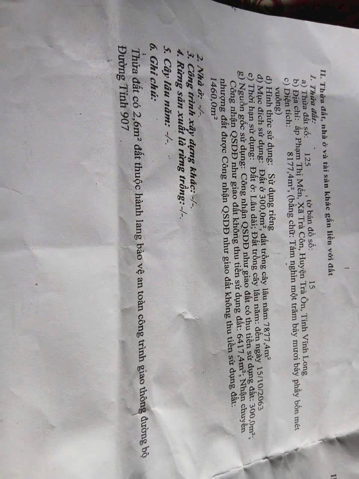 Đất mặt tiền Đường tỉnh 907, xã Trà Côn, Vĩnh Long 8200m² - Cơ hội đầu tư tuyệt vời!