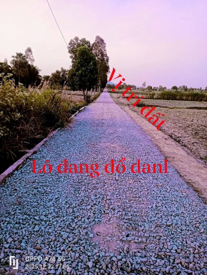 Đất nền An Cư Tịnh Biên 1008m² giá 350 triệu - Đầu tư sinh lời ngay!