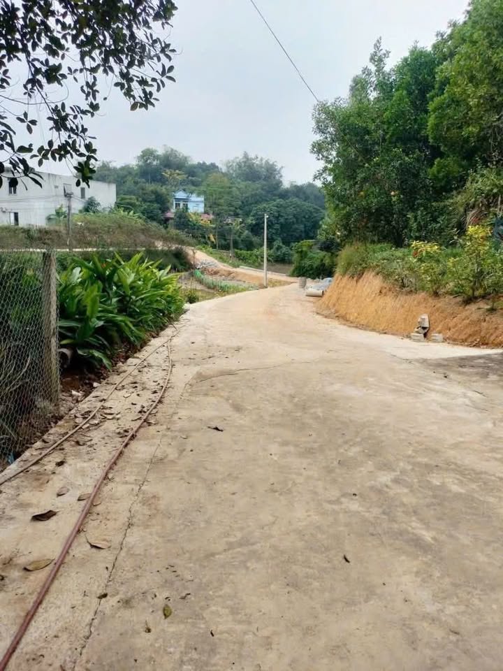 Đất nền tại TDP 10, Phường Nông Tiến, TP Tuyên Quang 78.3m² - Đầu tư sinh lời lý tưởng!