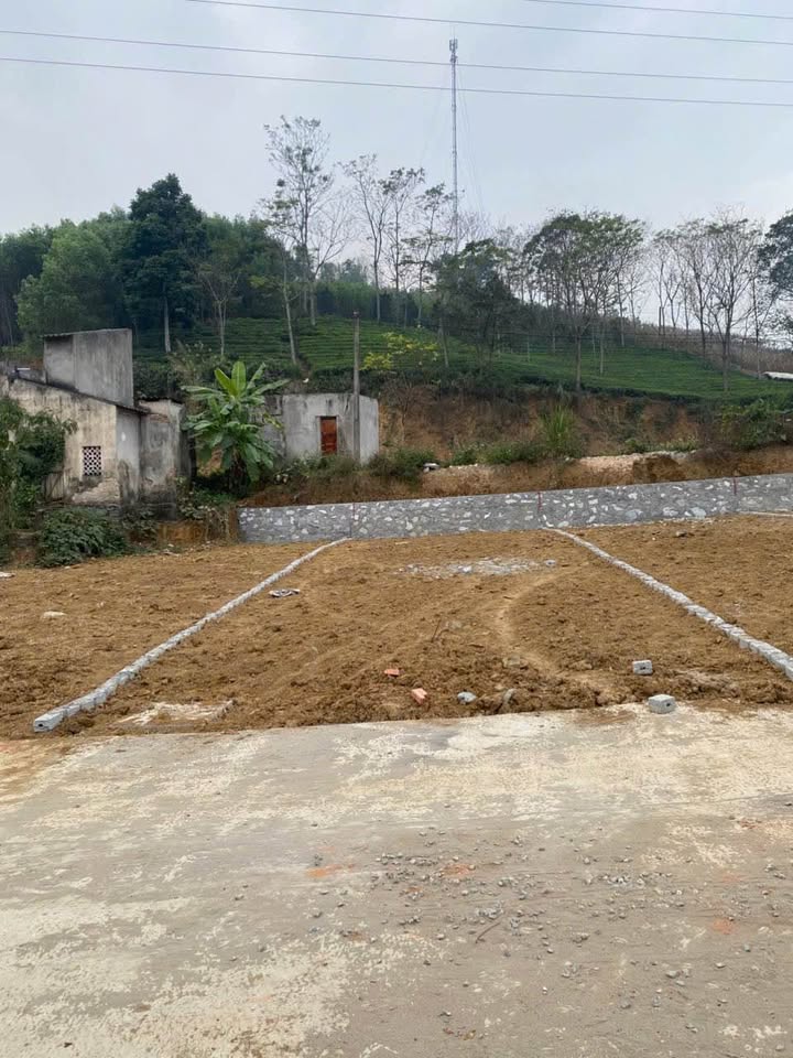 Đất nền Mỹ Lâm Tuyên Quang 100m² giá 400 triệu - Đầu tư sinh lời ngay!