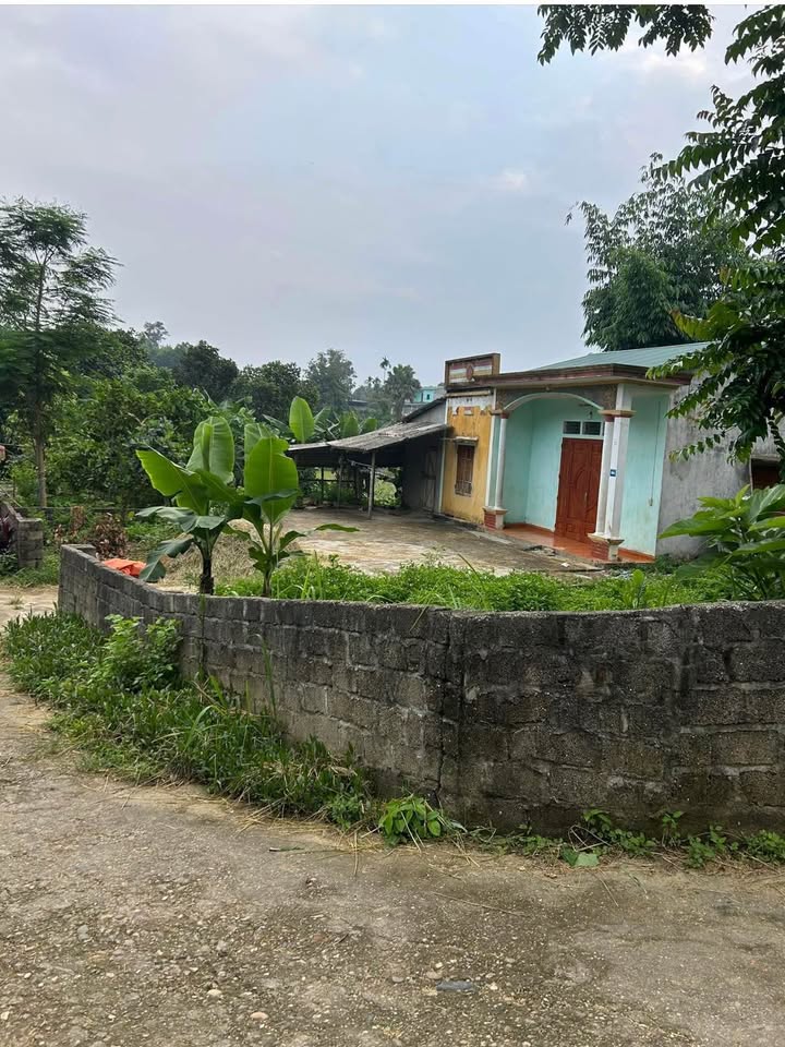 Nhà vườn Lưỡng Vượng 560m² giá 1 tỷ - Ao cá và đất trồng rau