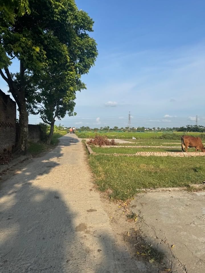 Đất thổ cư Tiên Dược, Sóc Sơn 45m² giá 1.1 tỷ - Đầu tư sinh lời ngay!