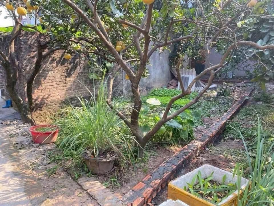 Đất Thượng Cát 50m² giá chỉ 5 tỷ - Sổ đỏ đẹp, pháp lý chuẩn!