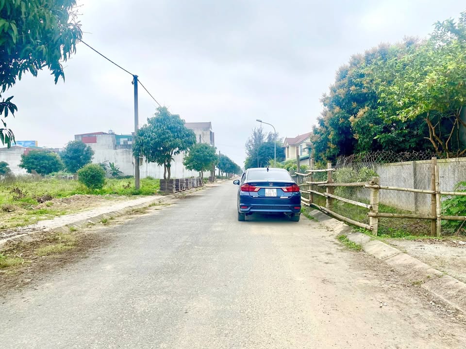 Đất nền Nghi Kim 88m² giá 3.2 tỷ - Xây dựng tự do ngay trong khu quy hoạch đẹp!