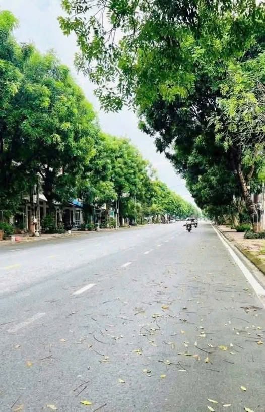 Lô đất đẹp đường Võ Nguyên Giáp, Cam Đường, Lào Cai 101m² - Pháp lý rõ ràng, đầu tư an tâm!