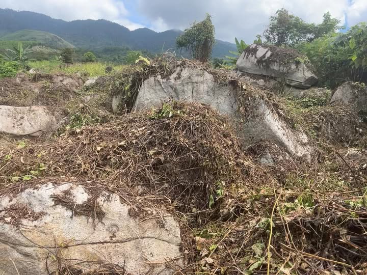 Bán đất Farm Tây Khánh Vĩnh 1ha giá thỏa thuận - Tiềm năng du lịch lớn!