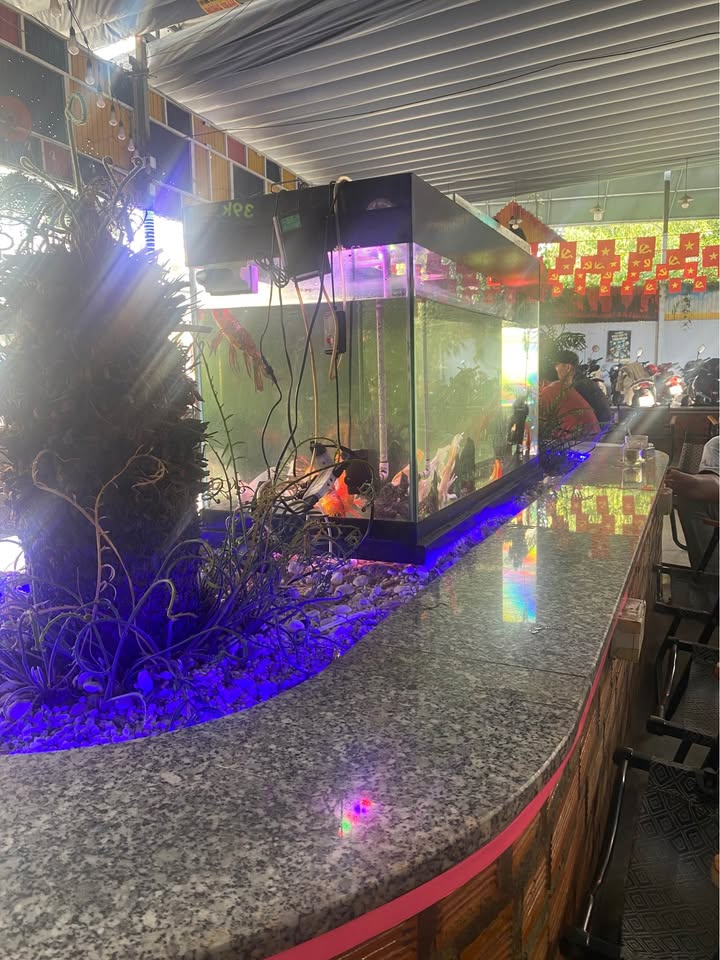 Nhà bán Gò Vấp 37m² giá 2.88 tỷ - Hẻm 3m sạch đẹp