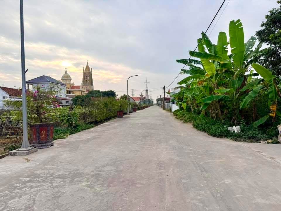 Đất lô góc 2 mặt tiền tại Cầu Cổ, Nghĩa Lợi 516m² - Giá chỉ 2 tỷ!