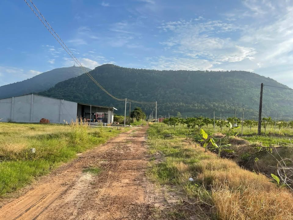 Đất thổ cư 10500m² tại Thạnh Lợi, Bình Minh, Tây Ninh - Giá chỉ 1.5 tỷ!