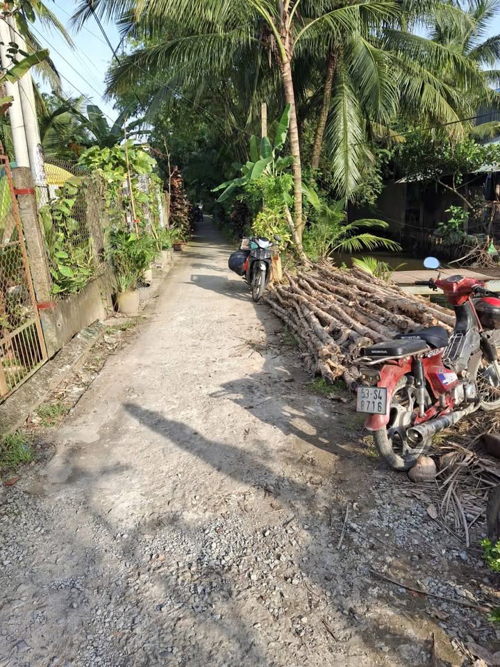 Đất nền Tân Hội, Cai Lậy 744m² chỉ 690 triệu - Cơ hội đầu tư sinh lời!