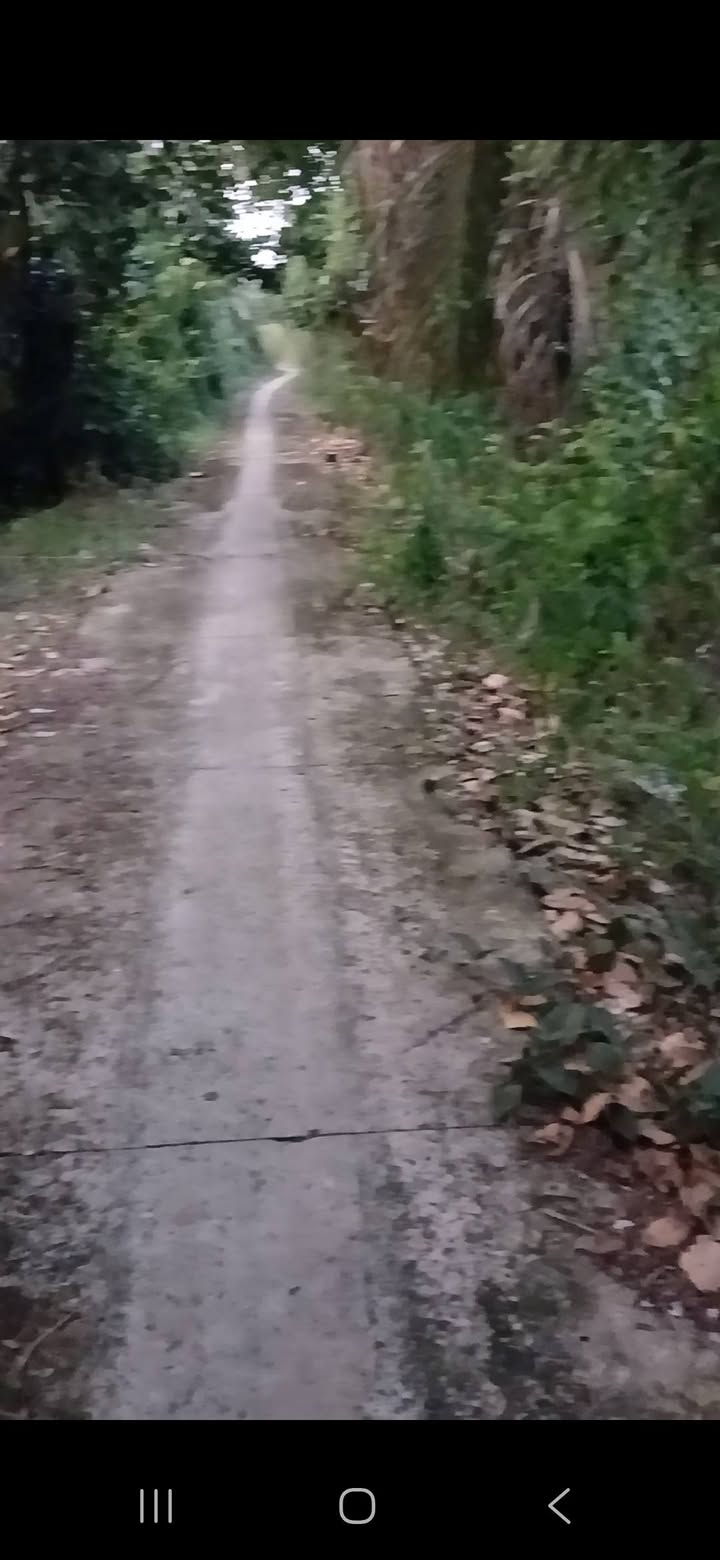 Đất nền 2.000m² tại Mỹ Đức Đông, Cái Bè - Giá chỉ 660 triệu, sổ cây lâu năm!