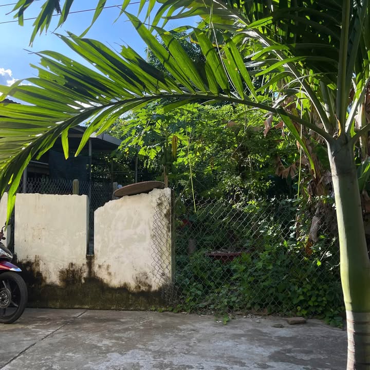 Đất nền Diên Toàn - Diên Khánh 100m² giá 1.395 tỷ - Đường bê tông ô tô vào tận nơi!