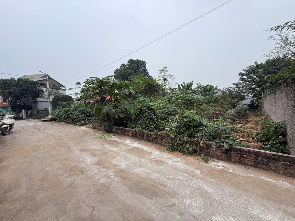 Đất Thôn Đình Thanh Vân 168m² giá 1 tỷ - Đầu tư sinh lời ngay!