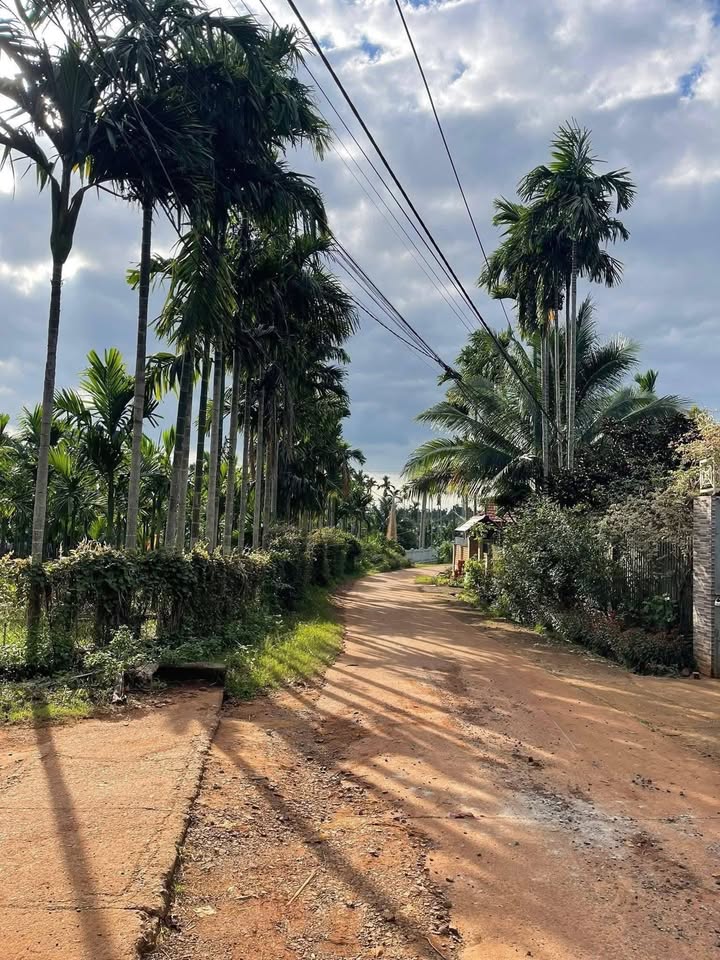 Đất nền Quảng Phú, Cư M'gar 315m² giá 820 triệu - Đầu tư sinh lời ngay!