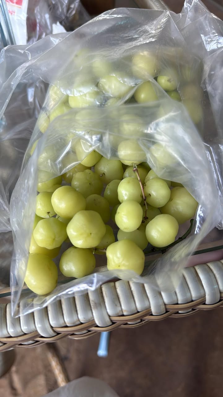 Đất nền Duy Tân Quảng Phú 332m² giá chỉ 2xx triệu - Cơ hội đầu tư tuyệt vời!