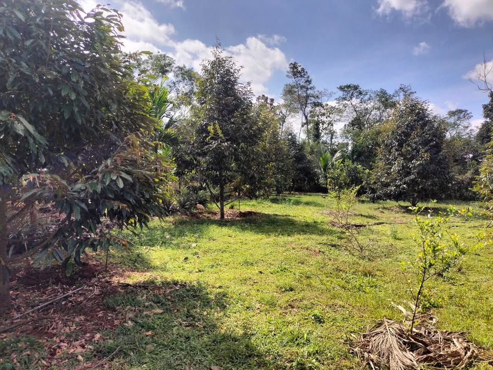 Đất thổ cư Cư M'gar Đắk Lắk 9360m² giá thỏa thuận - Tiện ích đầy đủ, vị trí thuận lợi!