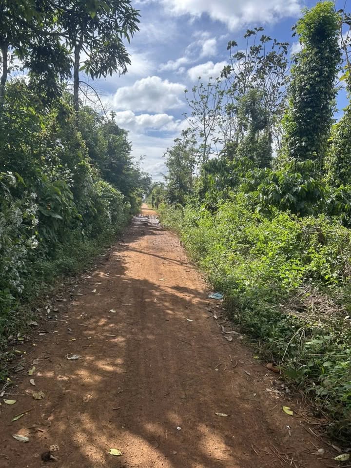 Đất nền Ea H'đinh 190m² giá 360 triệu - Chính chủ bán gấp!