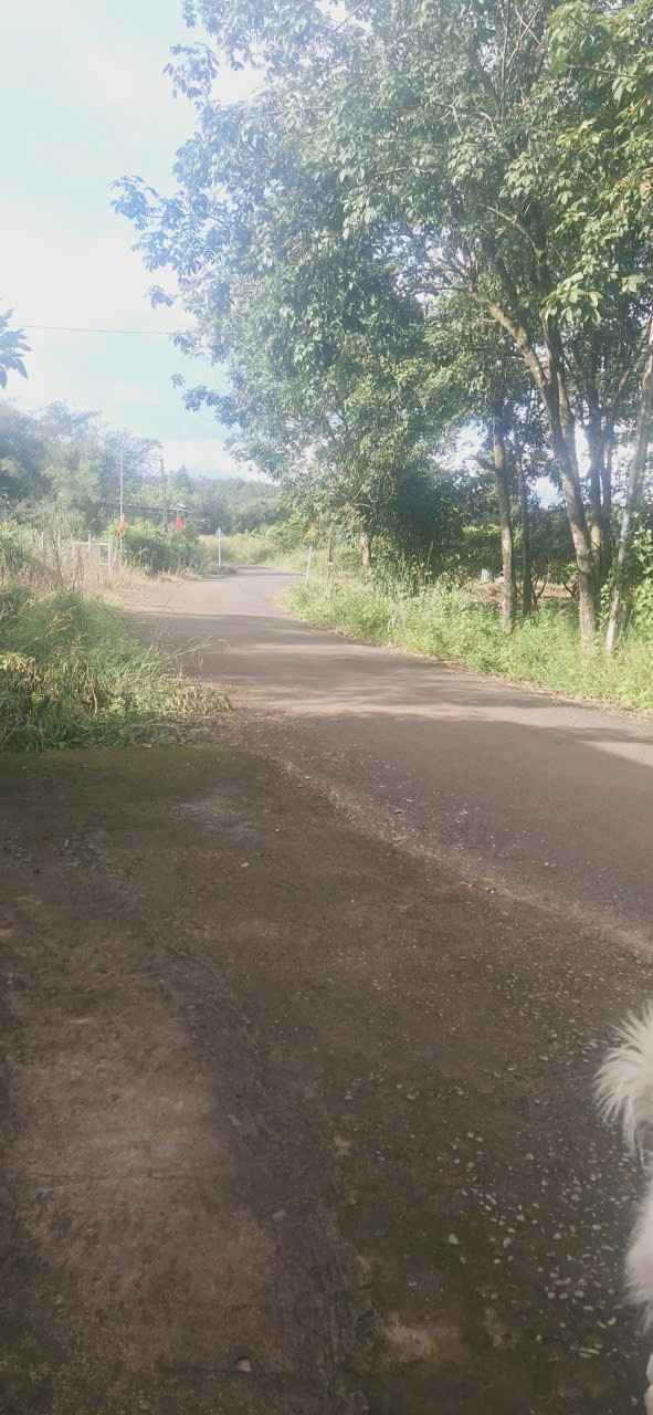 Đất nền Tiến Thành Đồng Xoài 500m² giá 920 triệu - Xây dựng ngay!