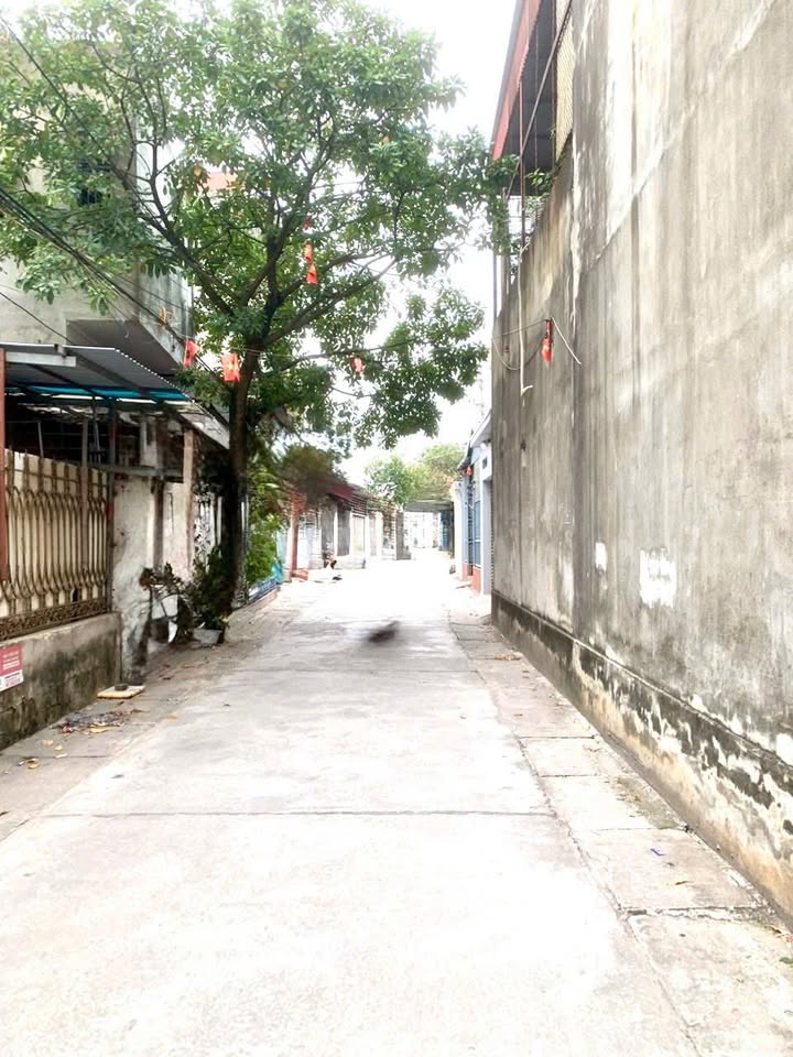 Nhà cấp 4 + Đất 255m² tại Phường Chu Văn An, Hải Phòng - Chính chủ bán gấp!